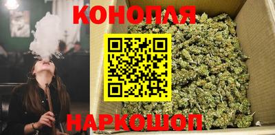 шишки Кинель