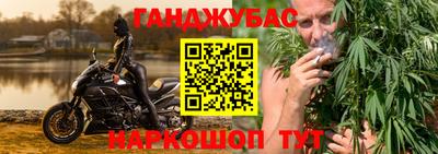 шишки Кинель