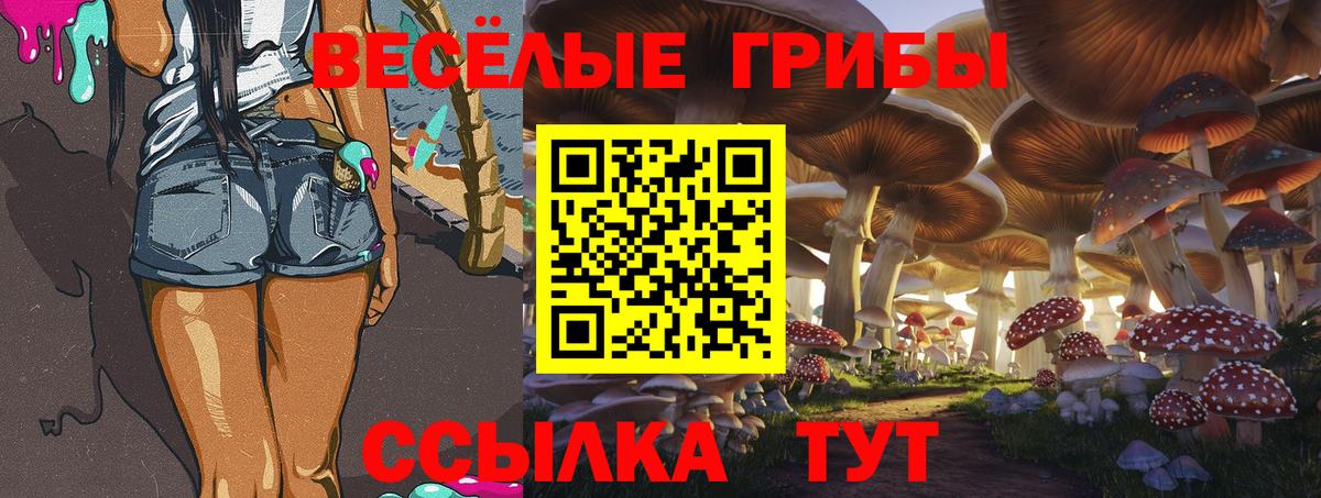 Псилоцибиновые грибы прущие грибы Волхов