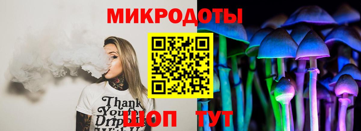 Галлюциногенные грибы Psilocybine cubensis  Вход с VPN  Волхов 